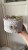 IMG_7855.JPEG