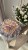 IMG_8416.JPEG