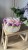 IMG_8030.JPEG