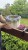 IMG_9095.JPEG