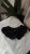 IMG_1884.jpeg