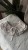 IMG_1880.jpeg