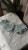 IMG_1876.jpeg