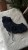 IMG_1871.jpeg