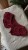 IMG_1863.jpeg