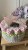 IMG_8132.JPEG