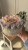 IMG_8418.JPEG