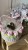IMG_8153.JPEG